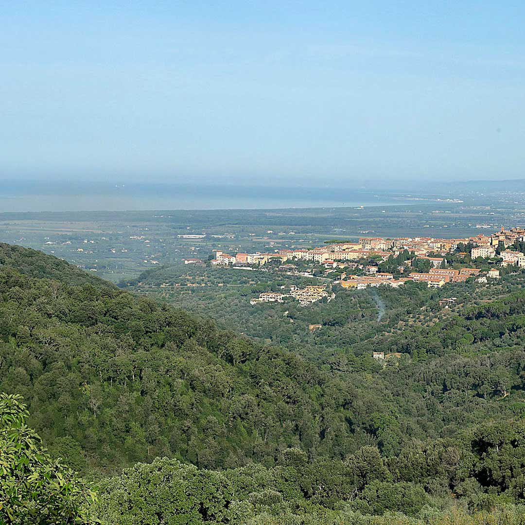 Passeggiate-tra-storia-collina-e-mare