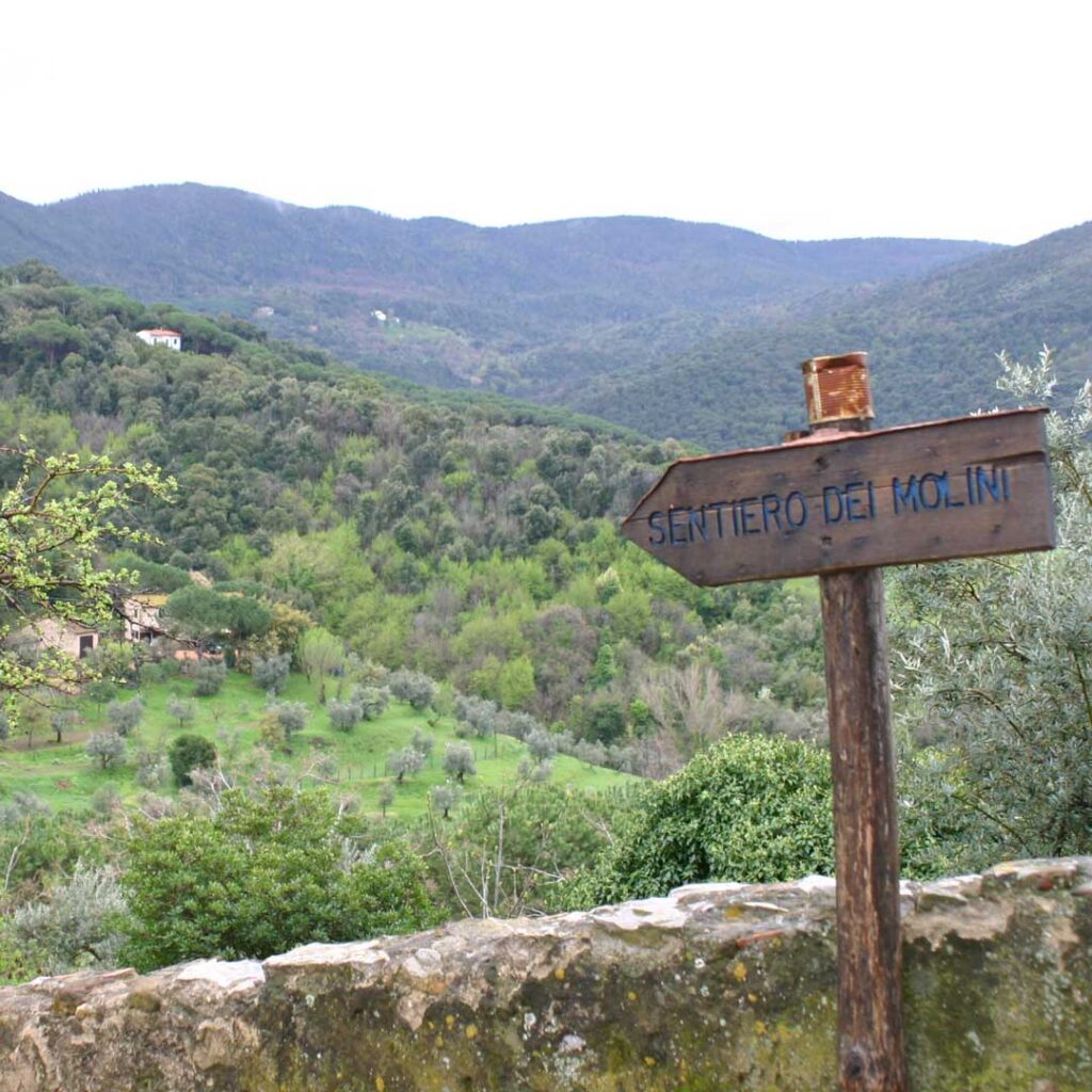 mulini