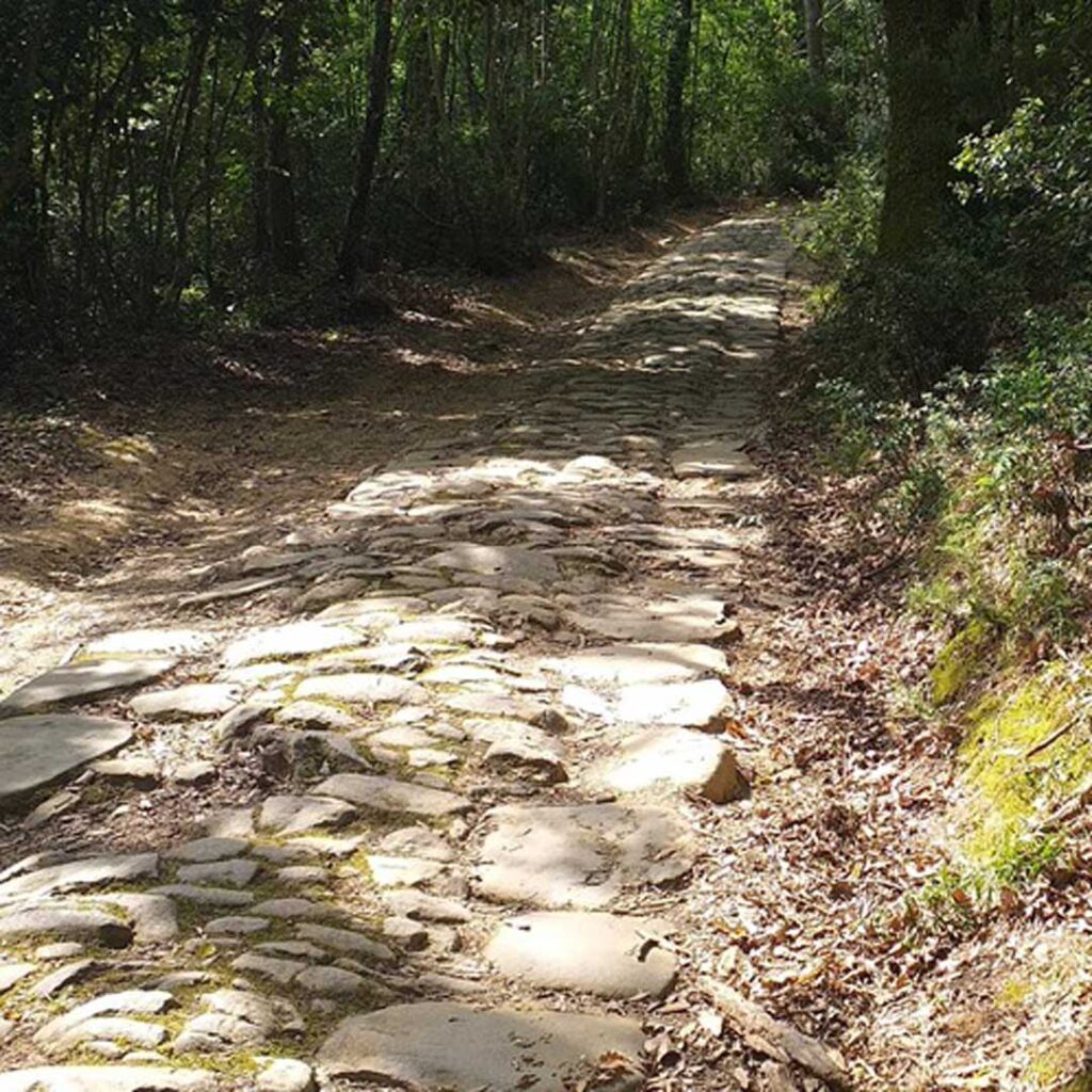 via_campigliese